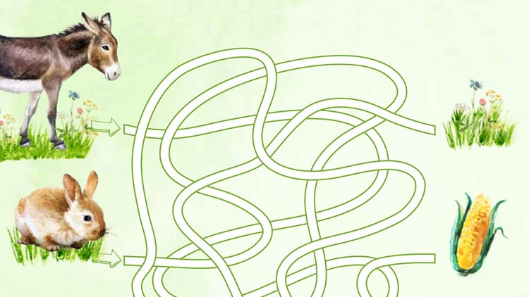 Ein gezeichneter Esel und Hase auf Gras mit einem Labyrinth aus grünen Linien, das zu Gras oder Mais führt.
