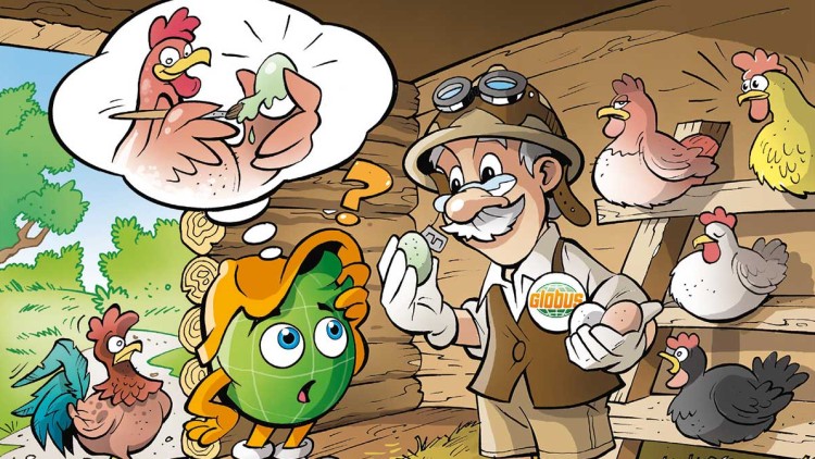 Professor Globus steht in einem Hühnerstall mit Globini, hält ein grünliches Ei und Hühner sind auf Sitzstangen und am Boden.