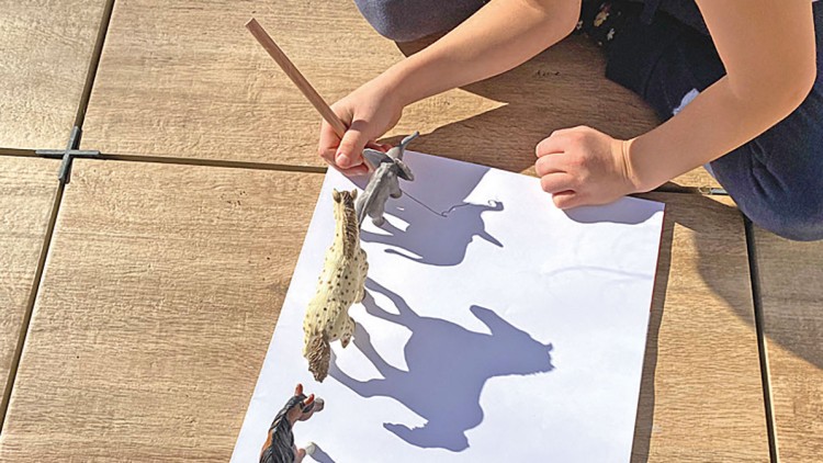 Kind zeichnet die Schatten von Tierfiguren auf ein weißes Blatt Papier auf einer Holzoberfläche nach.