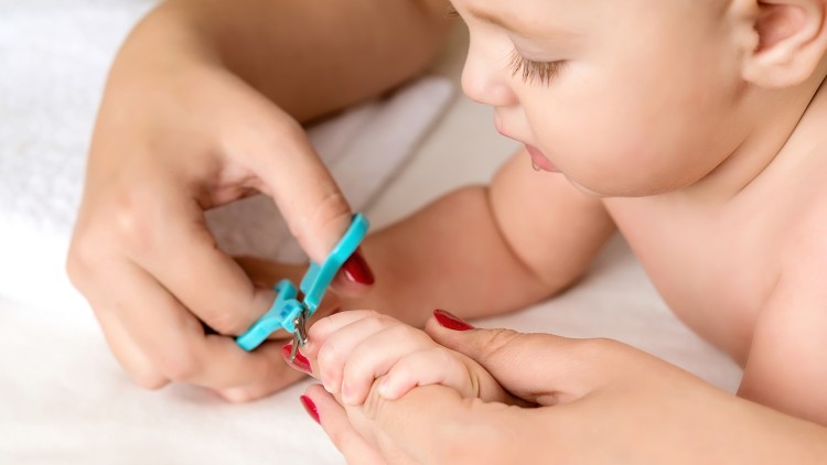 Eine Person schneidet vorsichtig die Fingernägel eines Babys mit einem blauen Nagelknipser auf einem weißen Untergrund.