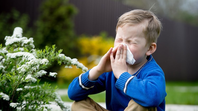 Kind in blauem Pullover sitzt auf einer Wiese neben einem Strauch mit weißen Blüten und hat Hände an den Ohren.