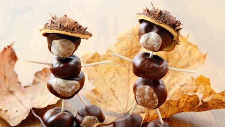 Zwei Figuren aus Kastanien, Zahnstochern und Hüten aus Kastanienschalen stehen auf Herbstblättern aus braunem Laub.