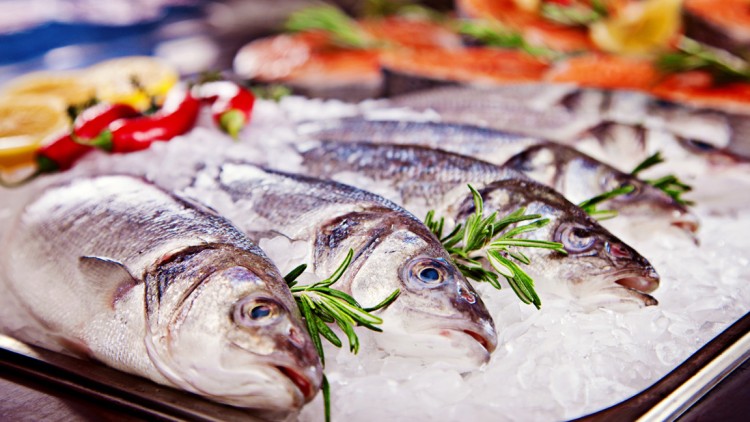 Frische ganze Fische liegen auf Eis in einer Metallwanne, dekoriert mit Rosmarin, roten Chilis und Zitronenscheiben.