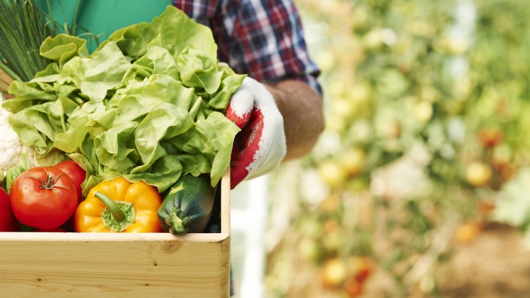 Ein Bauer mit einer Kiste Obst und Gemüse