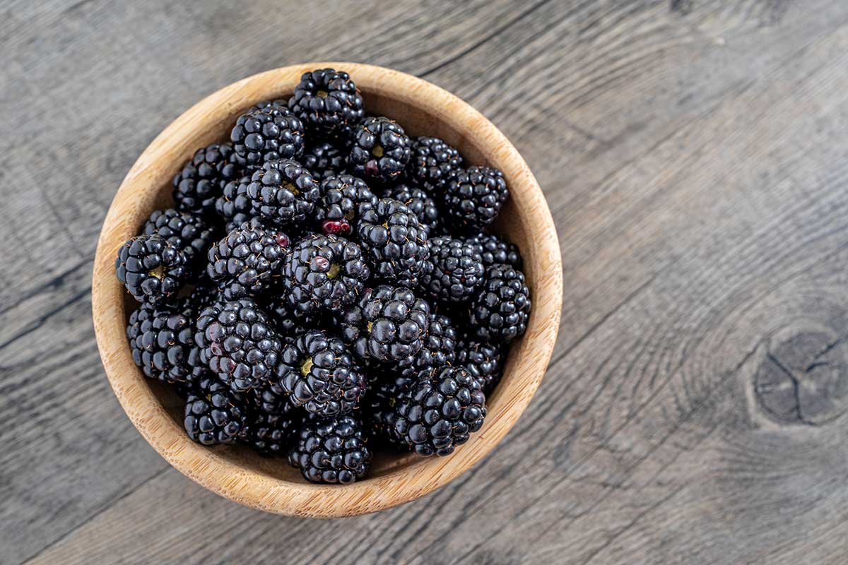 Brombeeren