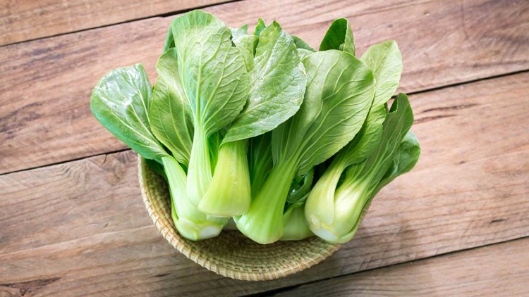 Pak Choi