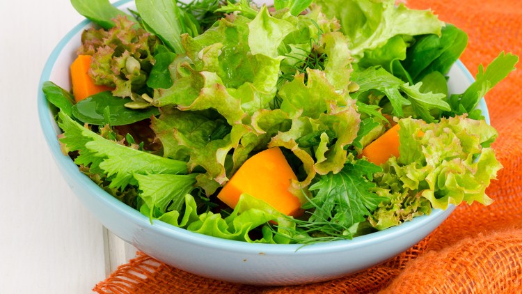 Bunte Salatschüssel mit verschiedenen grünen Blattsalaten, Kräutern und orangefarbenen Kürbisstücken, auf orangem Stoffuntergrund.