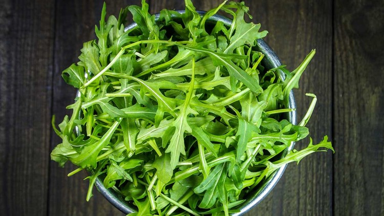 Rucola