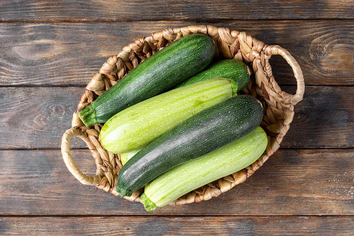 Zucchini