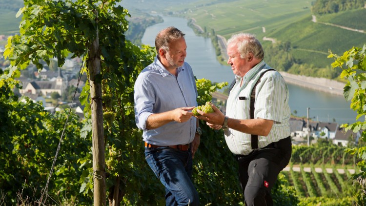 Zwei Personen stehen in einem Weinberg, halten grüne Weintrauben in den Händen, im Hintergrund ist eine Flusslandschaft zu sehen.