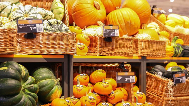 Verschiedene Kürbisse, darunter gelbe und grüne, in Körben mit Preisschildern wie „Speisekürbis Halloween 3,99“ und „Zierkürbis 3,99“.