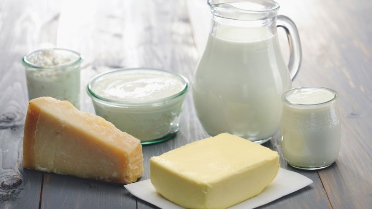 Ein Stück Hartkäse, Butterstück, Gläser mit Joghurt und Quark sowie eine Milchkanne stehen auf einem Holztisch.