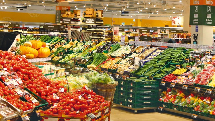 Eine Obst- und Gemüseabteilung mit Tomaten, Gurken, Paprika, Kürbissen, Lauch und weiteren frischen Lebensmitteln in einem GLOBUS Markt.