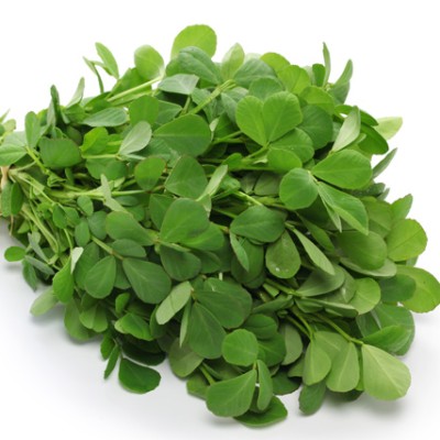 Ein Bund frischer grüner Blätter mit kleinen ovalen Blättern und beigen Wurzeln liegt auf weißem Untergrund.