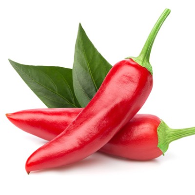 Zwei rote Chilischoten liegen auf weißem Untergrund, verziert mit drei grünen Blättern.
