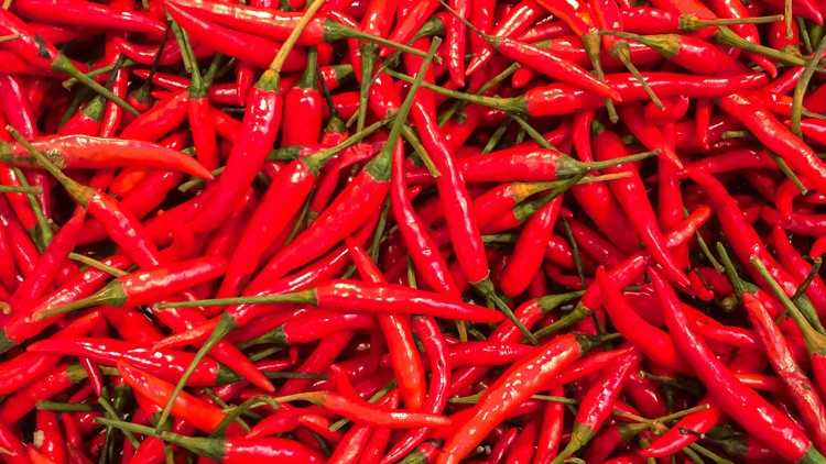 Viele kleine rote Chilischoten mit grünen Stielen liegen dicht aneinander.