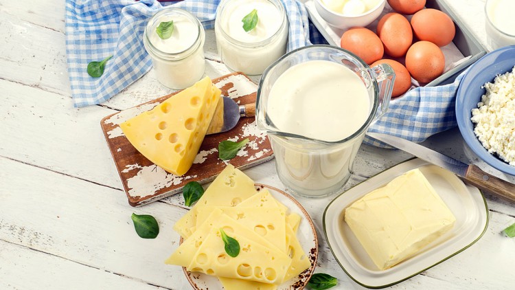 Mehrere Milchprodukte wie Käse, Butter, Joghurt, Sahne, Eier und Quark auf weißem Untergrund mit blauer Karodecke.