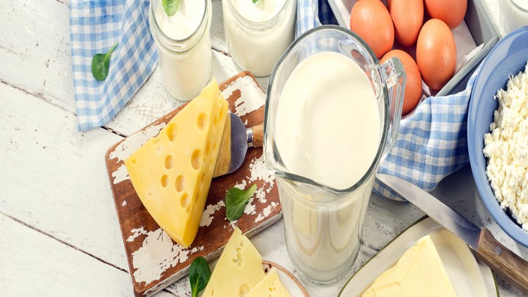 Auf einem Holztisch liegen Käse, ein Krug mit Milch, Eier, Quark, Butter, Joghurtgläser und ein blau-weiß kariertes Tuch.