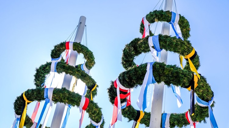 Zwei geschmückte Maibäume mit grünen Kränzen und bunten Bändern ragen vor blauem Himmel in die Höhe.