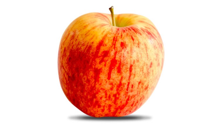 Rot-gelb marmorierter Apfel mit grünlichem Stiel auf weißem Hintergrund, leichter Schatten darunter.