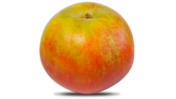 Ein runder Apfel mit rot-gelber Schale und leicht grünlichen Stellen vor weißem Hintergrund mit kleinem Schatten darunter.