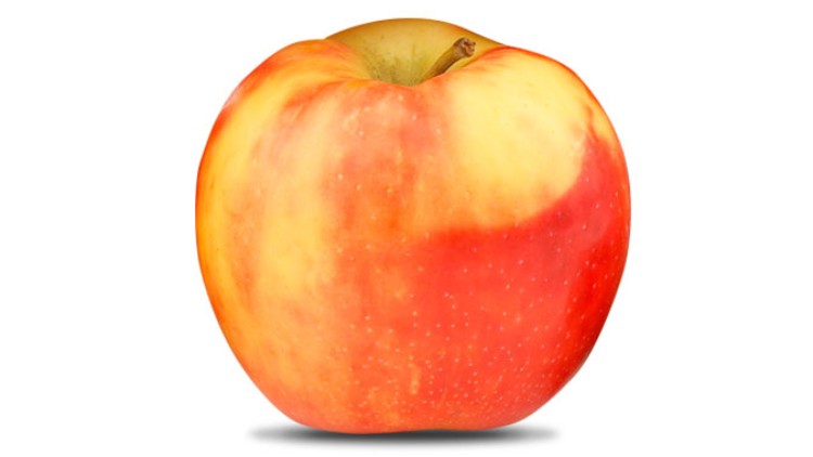 Roter Apfel mit gelben Stellen und glatter Oberfläche vor weißem Hintergrund.