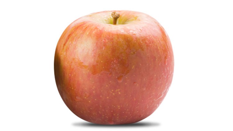 Ein einzelner rot-gelber Apfel mit Wassertropfen steht vor weißem Hintergrund.