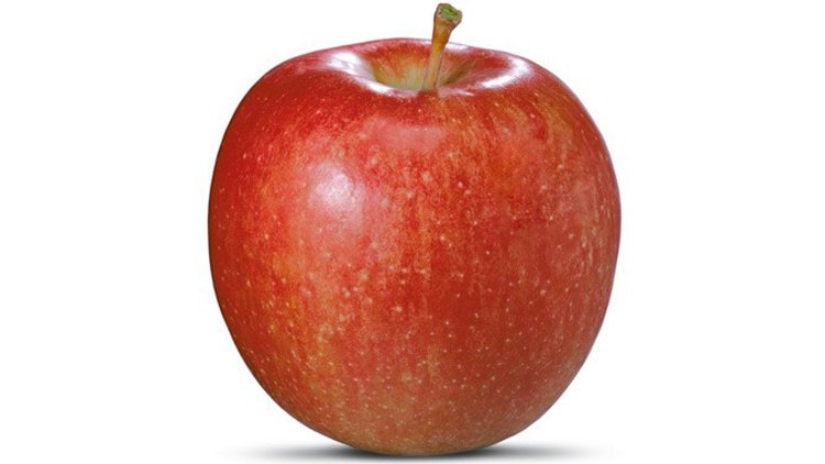 Ein runder, rot-gelb gefleckter Apfel mit braunem Stil vor weißem Hintergrund.