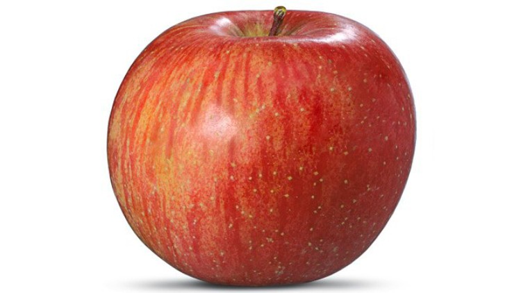 Roter, leicht gelber Apfel mit glatter Schale und kleinem Stiel auf weißem Hintergrund.