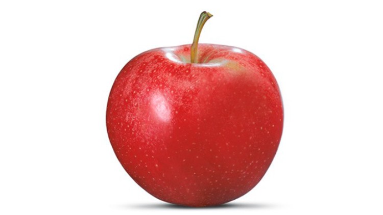 Ein einzelner roter Apfel mit grünem Stiel und feinen weißen Punkten auf weißem Hintergrund.