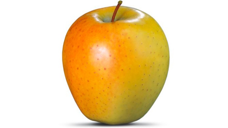 Ein gelber Apfel mit orange-roten Stellen und kurzem braunem Stiel auf weißem Hintergrund.