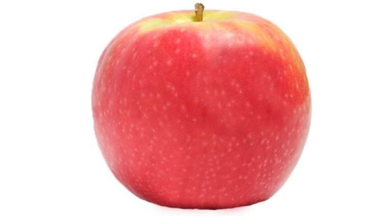 Ein einzelner roter Apfel mit gelben Stellen und kleinem Stiel, vor weißem Hintergrund.