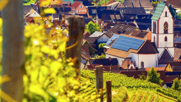 Eine kleine Stadt mit roten Dächern und einer weißen Kirche, umgeben von Weinbergen und grüner Vegetation bei Sonnenschein.