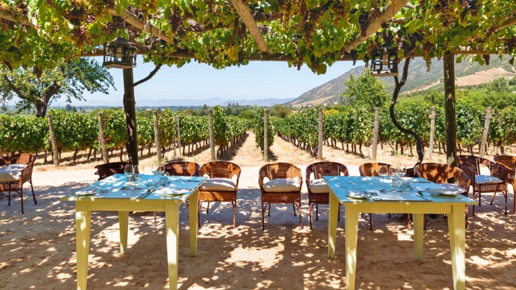 Unter einer Holzpergola mit Weinreben stehen Tische mit Geschirr und Stühlen, im Hintergrund sind Weinreben und Hügel zu sehen.