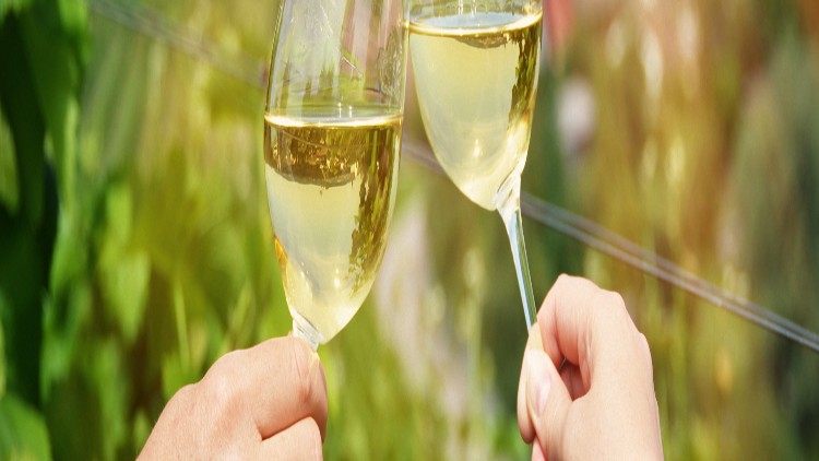 Zwei Glas Weinschorle stoßen vor grünem, unscharfem Hintergrund an, gehalten von zwei Händen.
