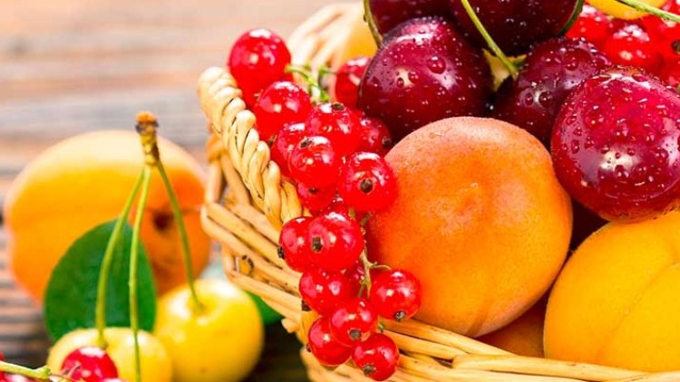 Ein Korb mit Aprikosen, Pflaumen, roten Johannisbeeren und Kirschen steht auf einer Holzoberfläche.