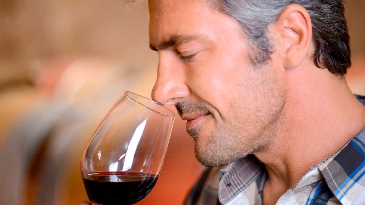Eine Person hält ein Glas mit Rotwein und trägt ein kariertes Hemd, im Hintergrund sind unscharfe Holzelemente erkennbar.