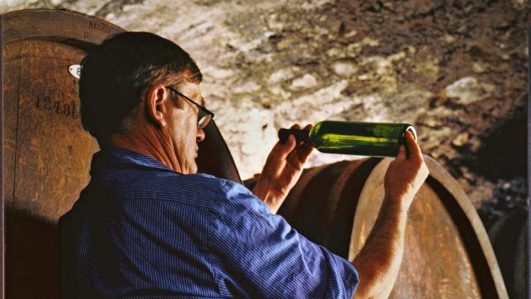 Person in blauem Hemd hält eine grüne Weinflasche gegen das Licht vor großen hölzernen Weinfässern in einem Keller.