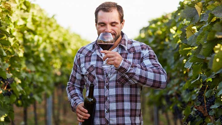Person in kariertem Hemd steht in einem Weinberg, hält eine Weinflasche in der einen Hand und ein Weinglas in der anderen.