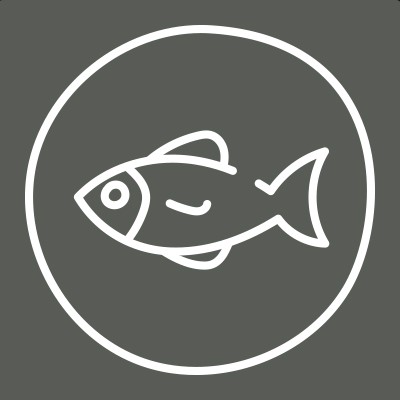 Ein weißes Fischsymbol in einem weißen Kreis auf grauem quadratischen Hintergrund.