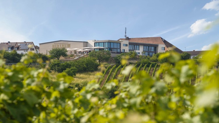 Gebäude der Winzergenossenschaft Herxheim umgeben von Weinreben und grüner Landschaft unter blauem Himmel.