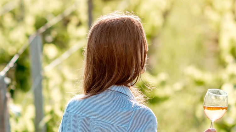 Person mit hellem Hemd hält ein Weinglas und schaut auf Reihen von grünen Weinreben bei sonnigem Wetter.