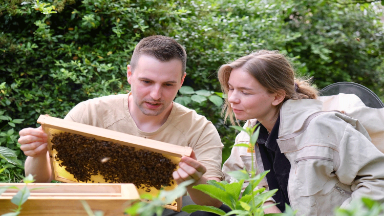 Zwei Personen betrachten eine von Bienen besetzte Holz-Wabe in einem grünen Garten mit dichter Vegetation.