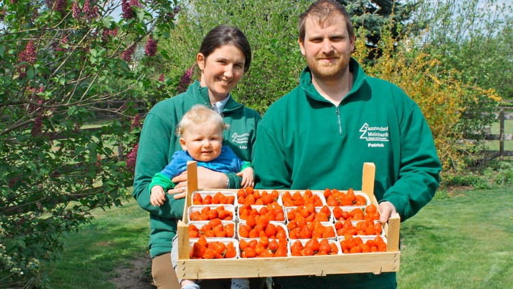 Eine Holzkiste mit mehreren Schälchen frischer roter Erdbeeren wird im Grünen von zwei Personen in grüner Arbeitskleidung gehalten.