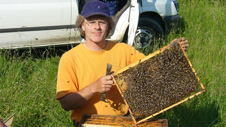 Person in gelbem T-Shirt hält eine Bienenwabe mit Bienen, im Hintergrund steht ein geparktes weißes Fahrzeug auf einer Wiese.