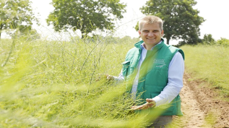 Person in grüner Weste steht auf einem Feld mit Spargelpflanzen, im Hintergrund sind Bäume und ein Feldweg zu sehen.