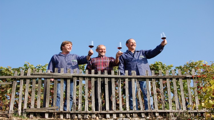 Drei Personen halten Weingläser mit Rotwein hoch, stehen hinter einem Holzzaun vor Reben und einem blauen Himmel.