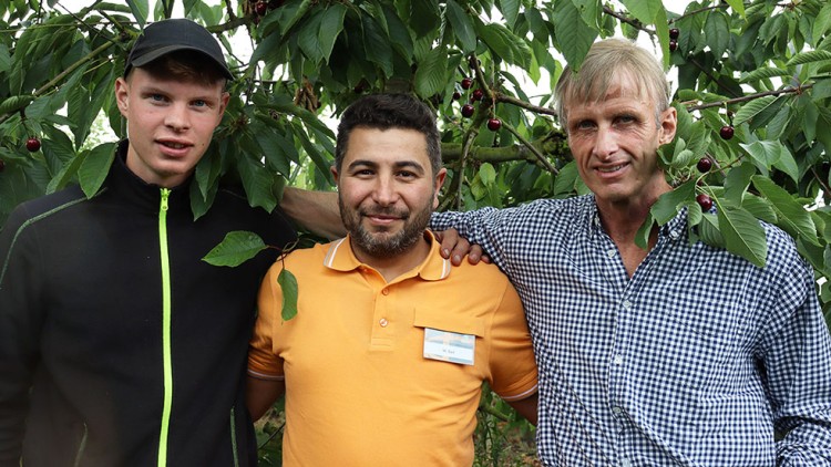 Drei Personen stehen vor einem Kirschbaum mit reifen, roten Kirschen und haben ihre Arme umeinander gelegt.