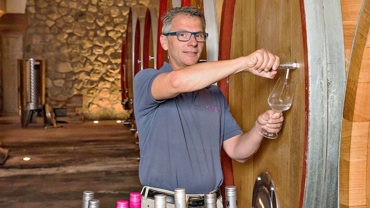 Person füllt Weißwein aus einem großen Holzfass in ein Weinglas, sieben Weinflaschen stehen auf einem Holzfass im Vordergrund.