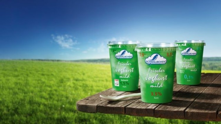 Drei Becher Schwalbchen Frischer Joghurt mild in verschiedenen Fettstufen stehen auf einem Holztisch vor grüner Wiese und blauem Himmel.